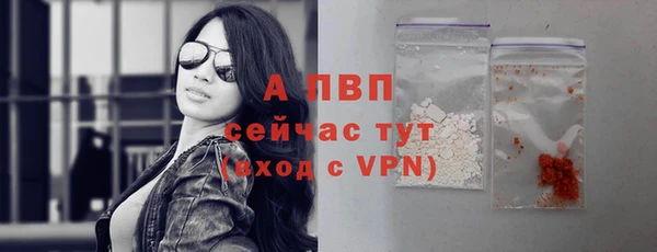 мяу мяу мука Корсаков